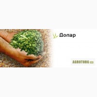 Продам насіння кукурудзи гiбрид Сінгента ДОЛАР