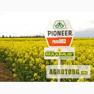 Озимый рапс Pioneer: ПР45Д03, ПР45Д05, ПР44Д06, ПР44В22, ПР46В20