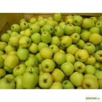 Продам яблоки Джонаголд и Голден оптом