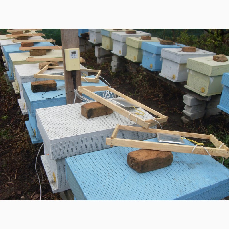 Фото 13. Обогрев для ульев пчел SOTA 10 Basis Plus комплект оборудования для подогрева пчел
