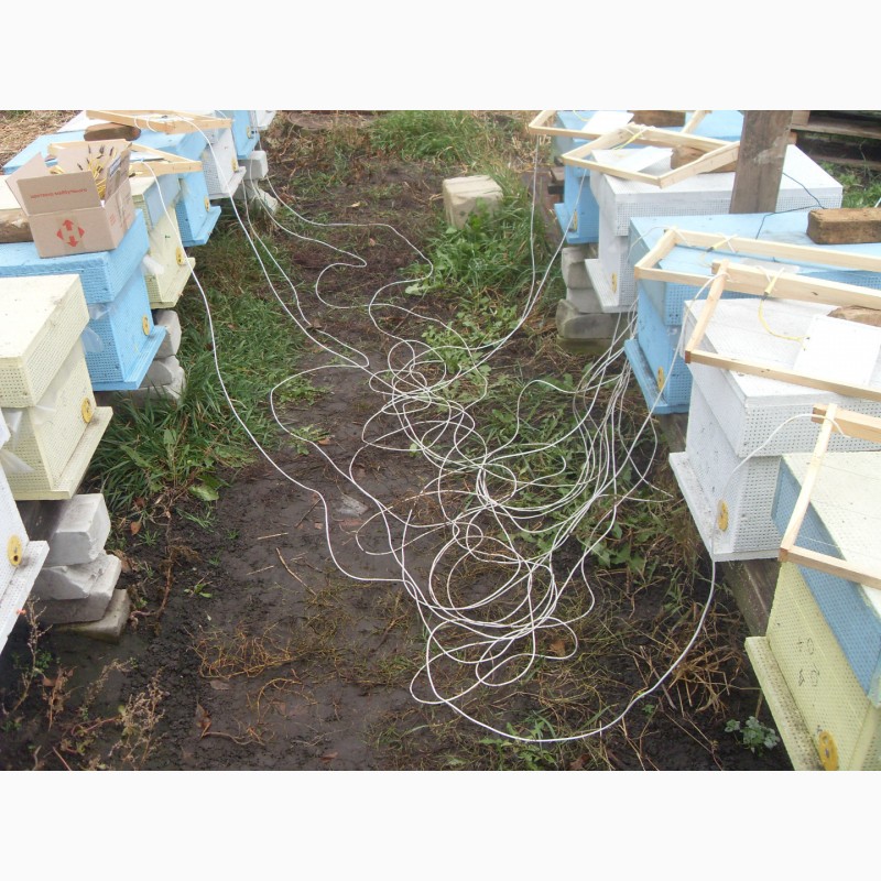 Фото 14. Обогрев для ульев пчел SOTA 10 Basis Plus комплект оборудования для подогрева пчел
