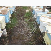 Обогрев для ульев пчел SOTA 10 Basis Plus комплект оборудования для подогрева пчел