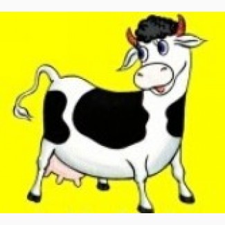 СФГ продасть молоко коровяче охолоджене до 600л на добу. Можлива доставка