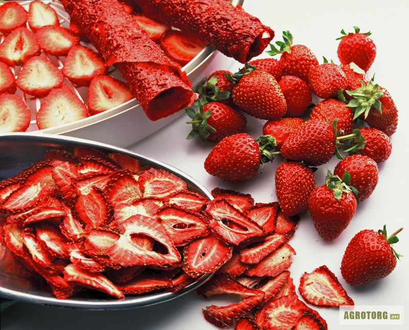 Фото 3. Сушка для фруктов и овощей Ezidri Snackmaker FD500 Digital