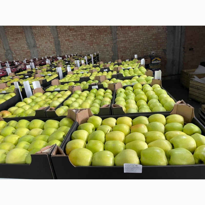 Фото 9. Продам яблоки несколько сортов с хранилищя. От производителя с 20 тонн