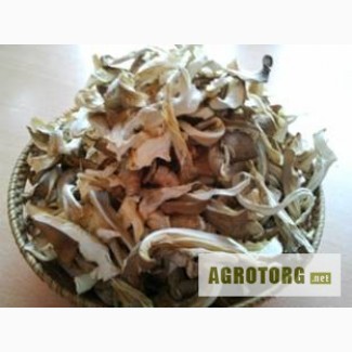 Сушеные грибы Киев оптом / Вешенка