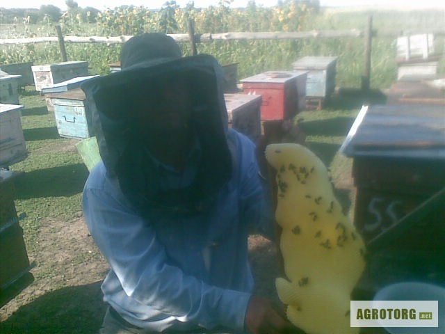 Продам пчелопакеты в 2013 году