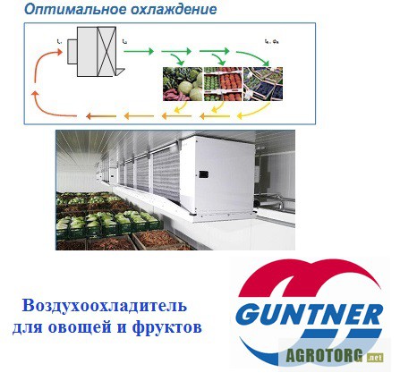Фото 2. Воздухоохладители для хранения овощей и фруктов