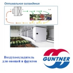 Воздухоохладители для хранения овощей и фруктов