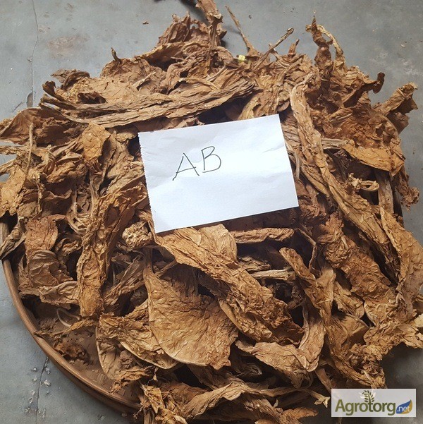 Табак Листовой Оптом от 20 тонн из Индонезии – Тип Jatim VO; Сорт JAB/LL; ферментированный