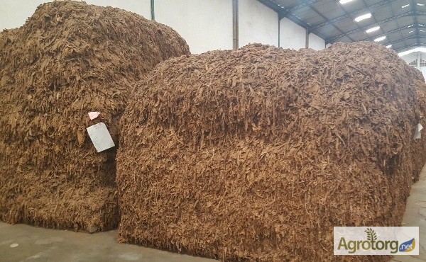 Фото 2. Табак Листовой Оптом от 20 тонн из Индонезии – Тип Jatim VO; Сорт JAB/LL; ферментированный