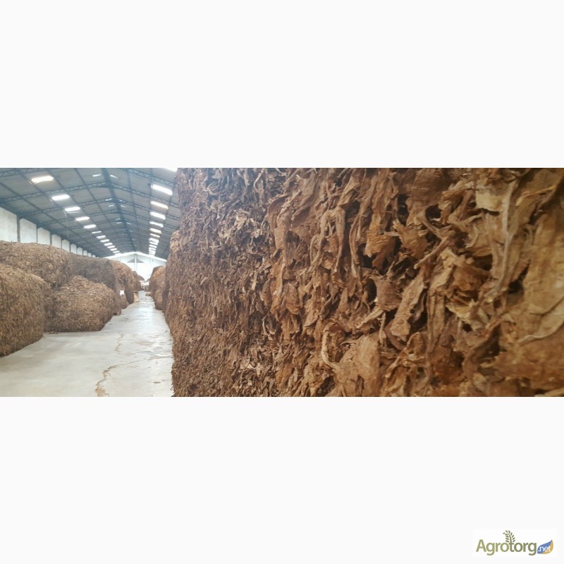 Фото 3. Табак Листовой Оптом от 20 тонн из Индонезии – Тип Jatim VO; Сорт JAB/LL; ферментированный