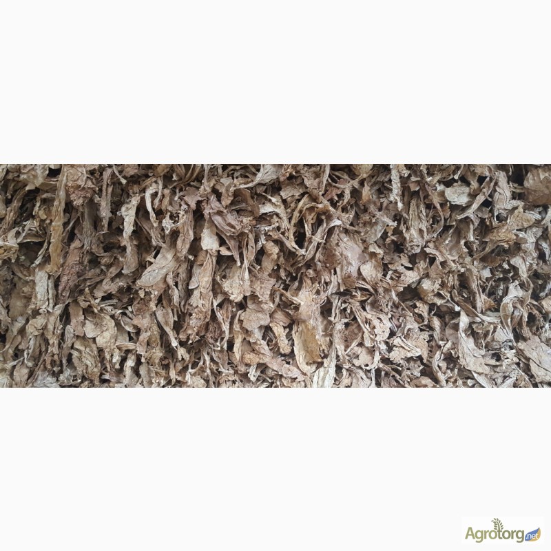 Фото 6. Табак Листовой Оптом от 20 тонн из Индонезии – Тип Jatim VO; Сорт JAB/LL; ферментированный