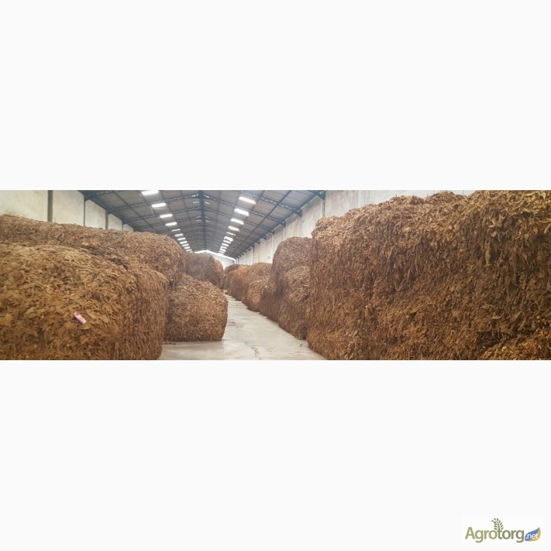 Фото 7. Табак Листовой Оптом от 20 тонн из Индонезии – Тип Jatim VO; Сорт JAB/LL; ферментированный