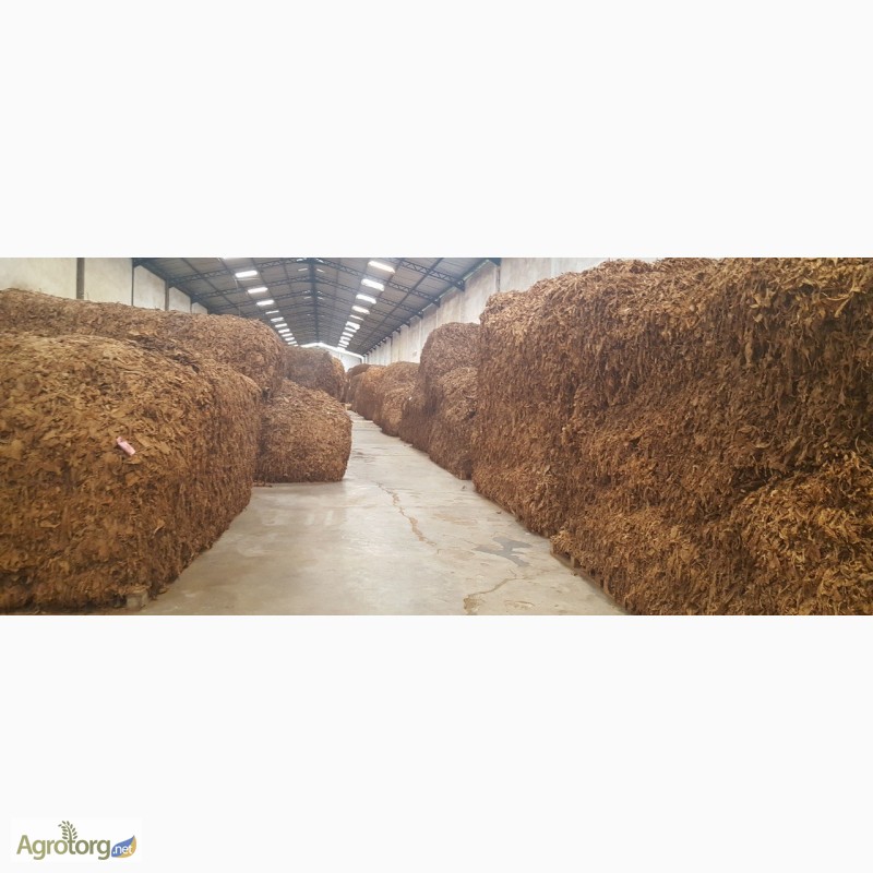Фото 9. Табак Листовой Оптом от 20 тонн из Индонезии – Тип Jatim VO; Сорт JAB/LL; ферментированный