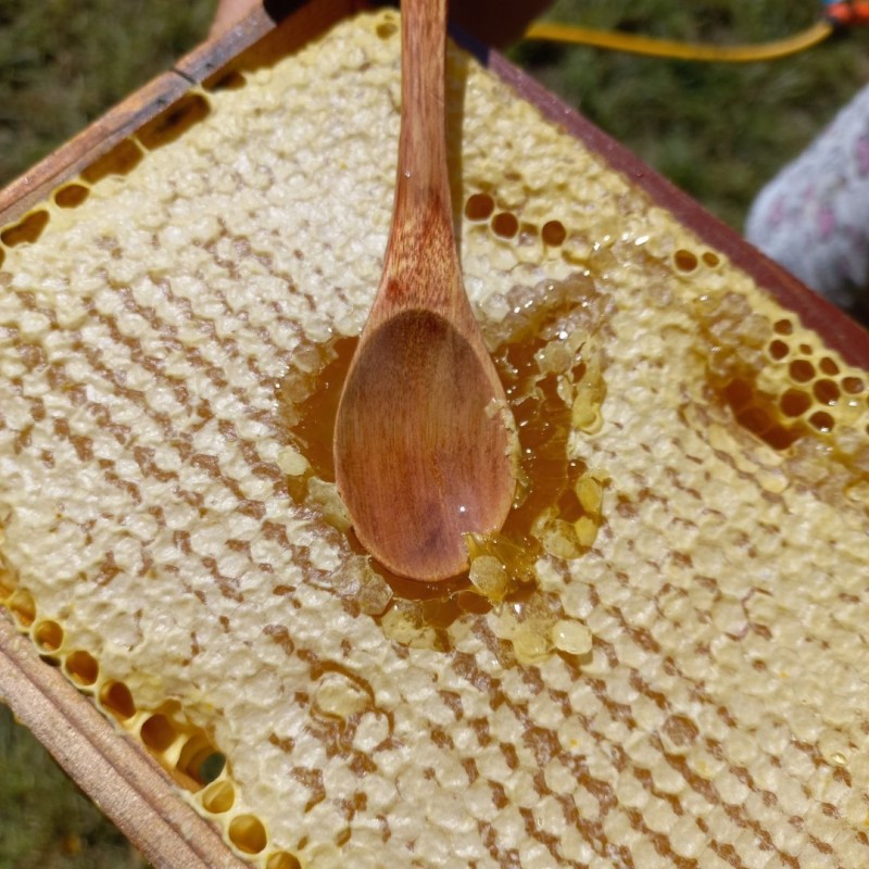Фото 3. Сотовый мёд 1 кг