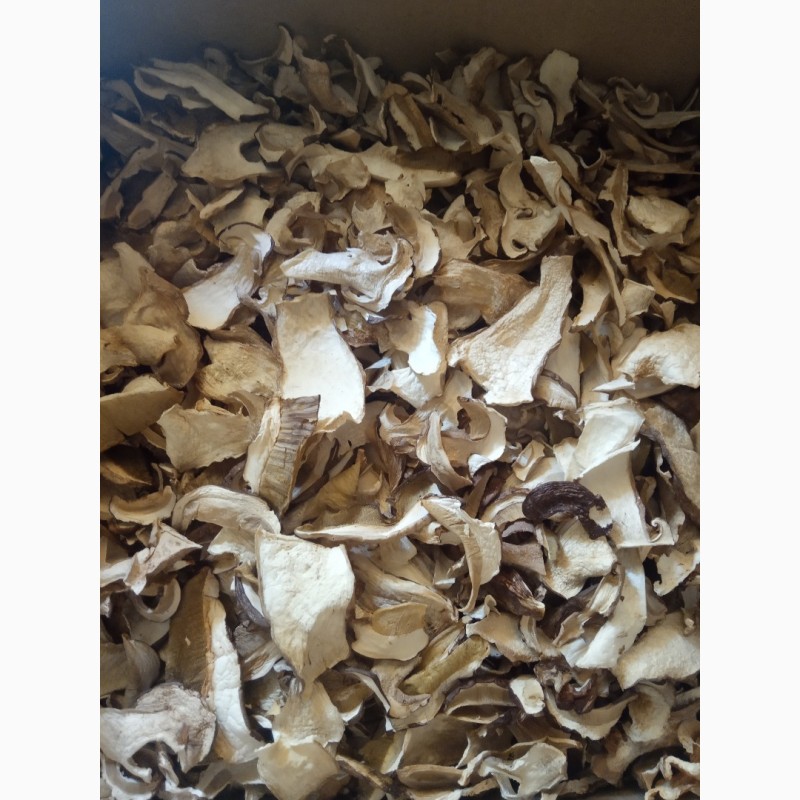 Фото 2. Продам із доставкою сушені білі гриби
