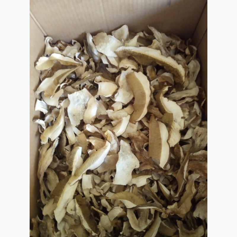 Фото 3. Продам із доставкою сушені білі гриби
