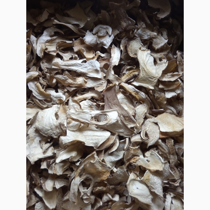 Фото 4. Продам із доставкою сушені білі гриби
