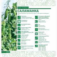 Пропонуємо насіння жовтозерного гороху Саламанка (СН-1)