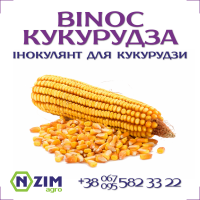 Binoc Кукурудза - комплексний інокулянт для кукурудзи