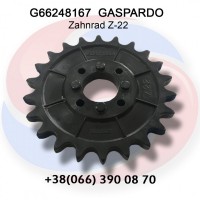 Зубчасте колесо Z-22 G66248167 Gaspardo