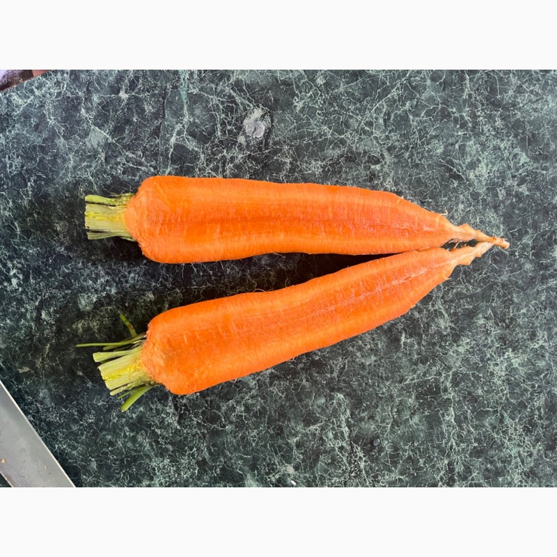 Фото 5. Продам моркву, сорт «Болівар», можливий опт