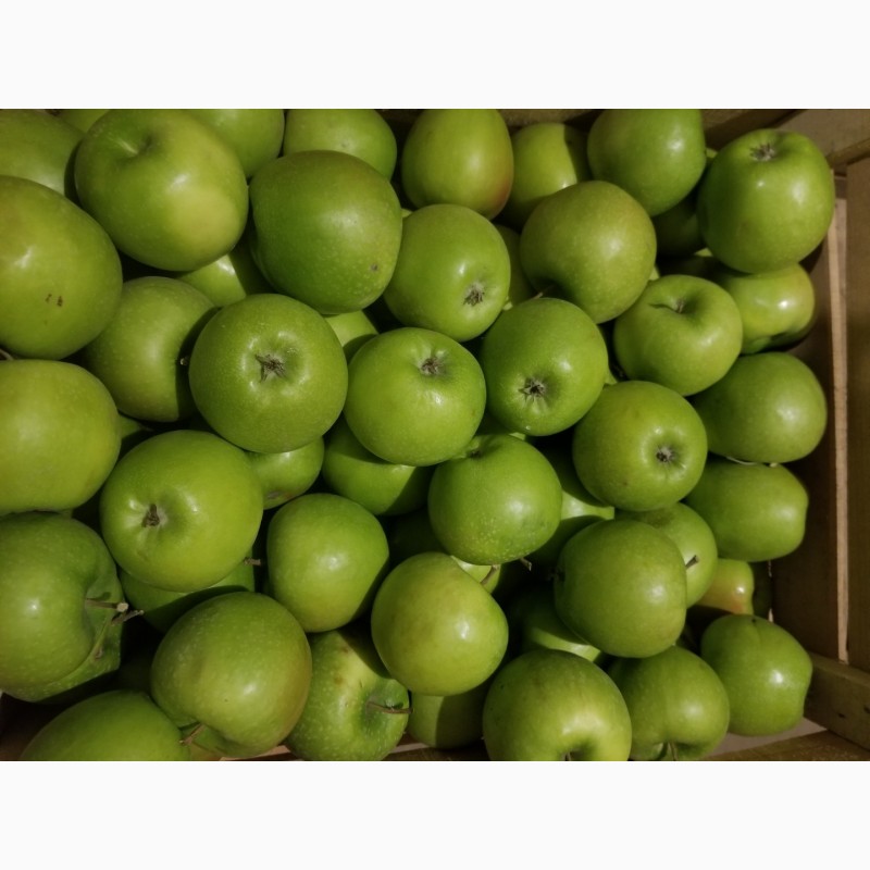 Фото 13. Продам яблука різні сорти