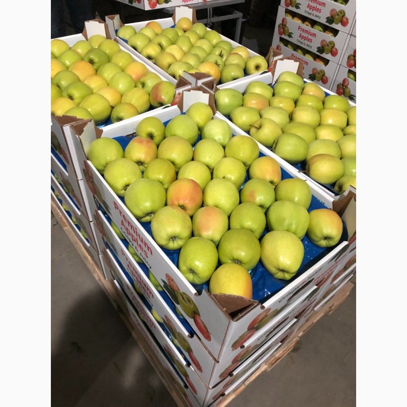 Фото 2. Продам яблука експортної якості, є обєм, розм.65-75 і 75+, Вінницька обл.м.Немирів