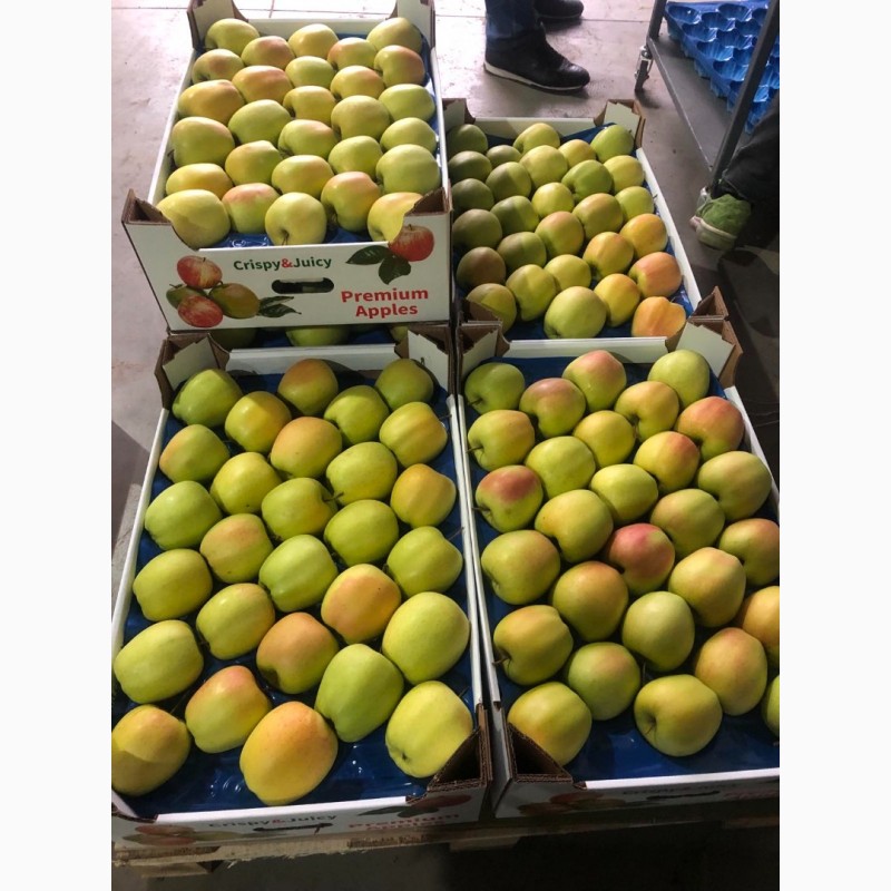 Фото 3. Продам яблука експортної якості, є обєм, розм.65-75 і 75+, Вінницька обл.м.Немирів