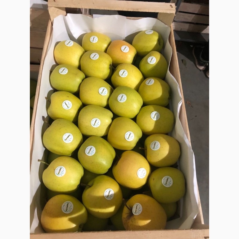 Фото 4. Продам яблука експортної якості, є обєм, розм.65-75 і 75+, Вінницька обл.м.Немирів