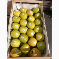 Продам яблука експортної якості, є обєм, розм.65-75 і 75+, Вінницька обл.м.Немирів