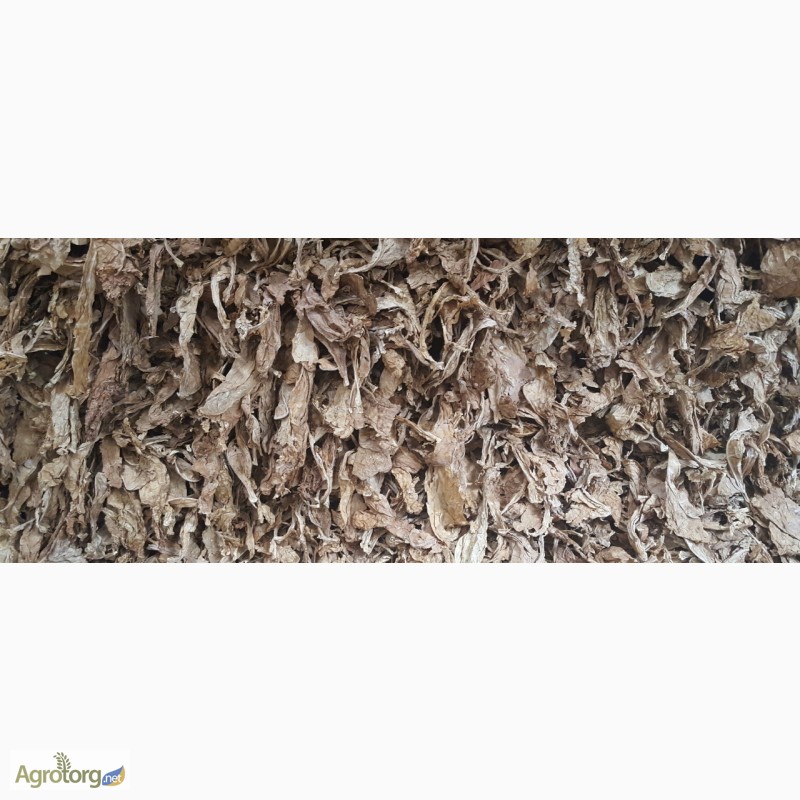 Фото 6. Табак Листовой Оптом от 20 т. из Индонезии – ферментированный; Тип: Jatim VO – Сорт JBB/LL