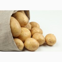 Закупка картофеля на месте с доставкой