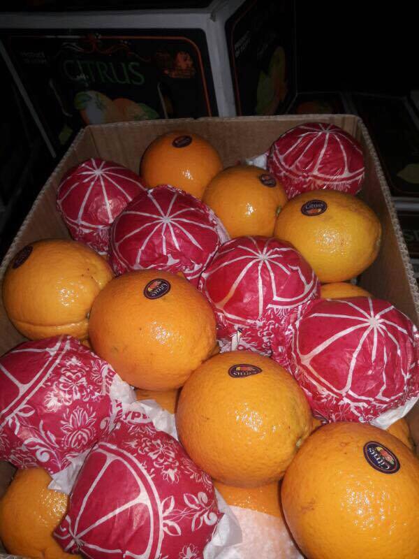 Фото 3. Продаем апельсины Navel (Египет)