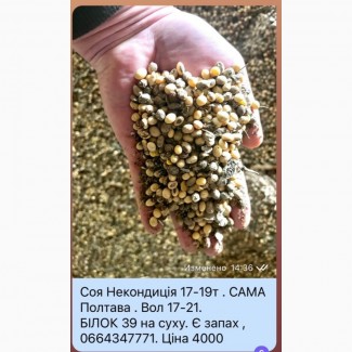 Некондиція сої, некондицыя сои, соя, продам сою