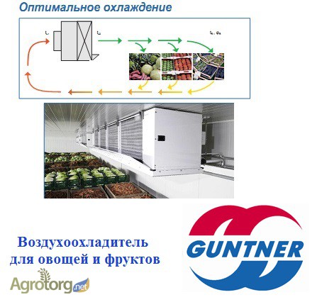 Фото 3. Холодильные технологии в производстве и переработке продуктов