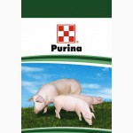 PURINA Ефективне Свинарство, Полтавська обл