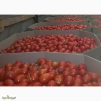 Октабины для помидоров, баклажанов, перца