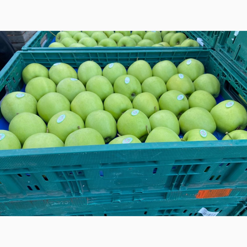 Фото 5. Продажа яблук з власного саду: Голден, Ред Джона Принс, Чемпіон, Редчіф, Муцу…