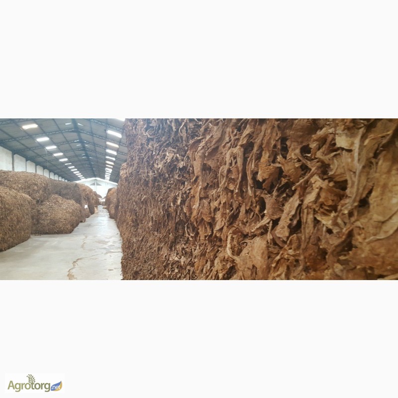 Фото 4. Табак Листовой Оптом от 20 тонн из Индонезии – Jatim VO; Scrap; ферментированный 2015-16