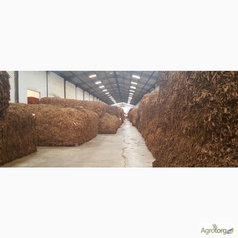 Фото 6. Табак Листовой Оптом от 20 тонн из Индонезии – Jatim VO; Scrap; ферментированный 2015-16