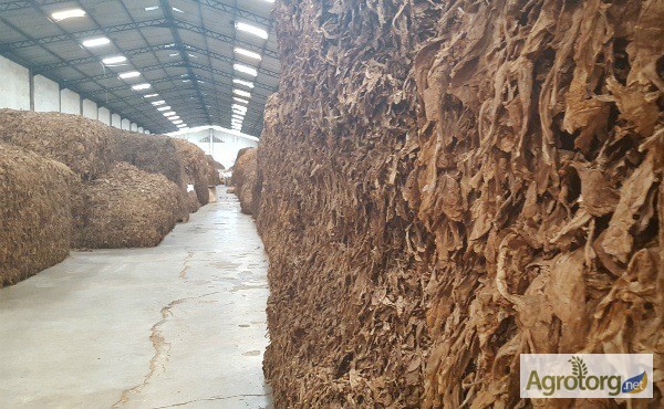 Фото 7. Табак Листовой Оптом от 20 тонн из Индонезии – Jatim VO; Scrap; ферментированный 2015-16