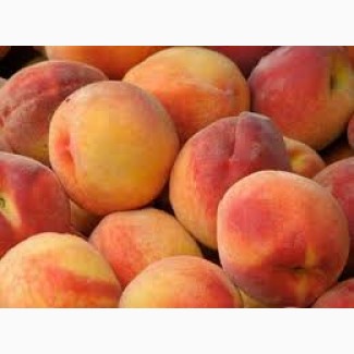 Продаются персики.Ранний, средний и поздний