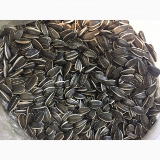 Куплю насіння соняшника кондитерське смугасте (Рейна-К, Дакота, Конфета, Ягуар)