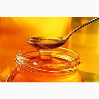 Куплю бджолиний мед