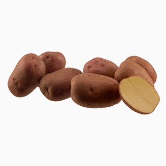 Картопля насіннєва MONTE CARLO/ Картофель семенной Монте Карло, 1 кг