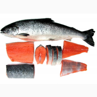 Рыба и море продукты лосось кальмар креветка