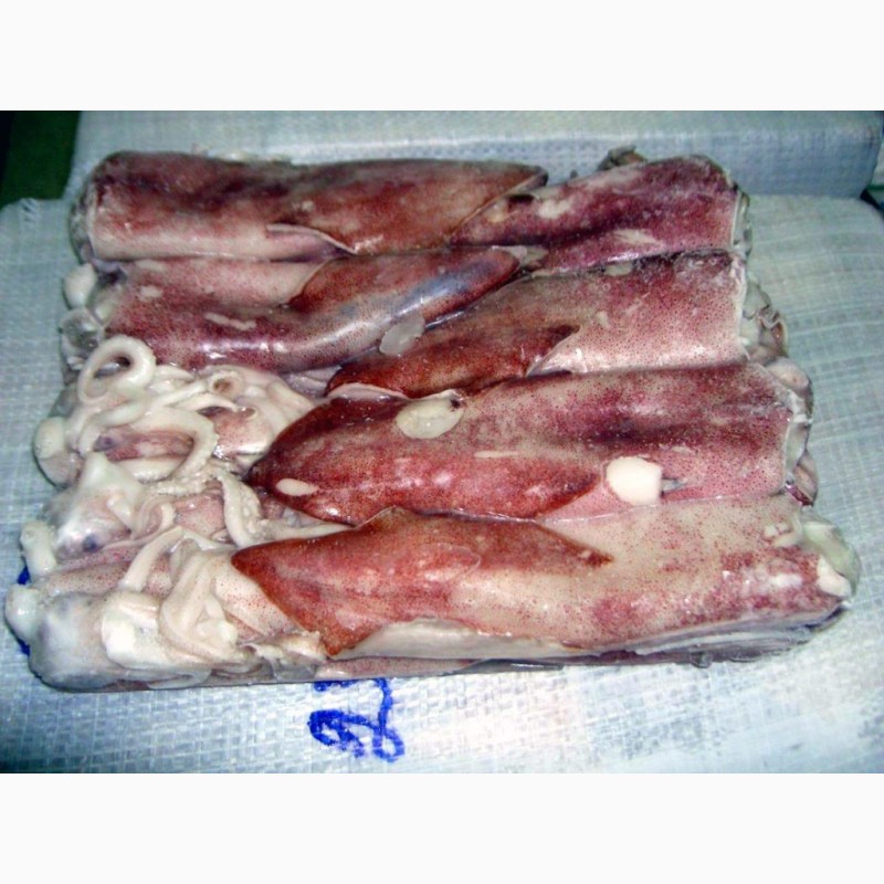 Фото 7. Рыба и море продукты лосось кальмар креветка