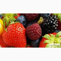 Продамо заморожену ягоду : малину, ожину, чорну смородину, полуницю, сливу(без кісточки )